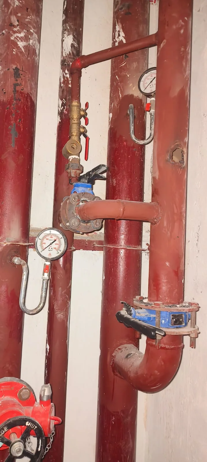 Riser valves and pressure gauges